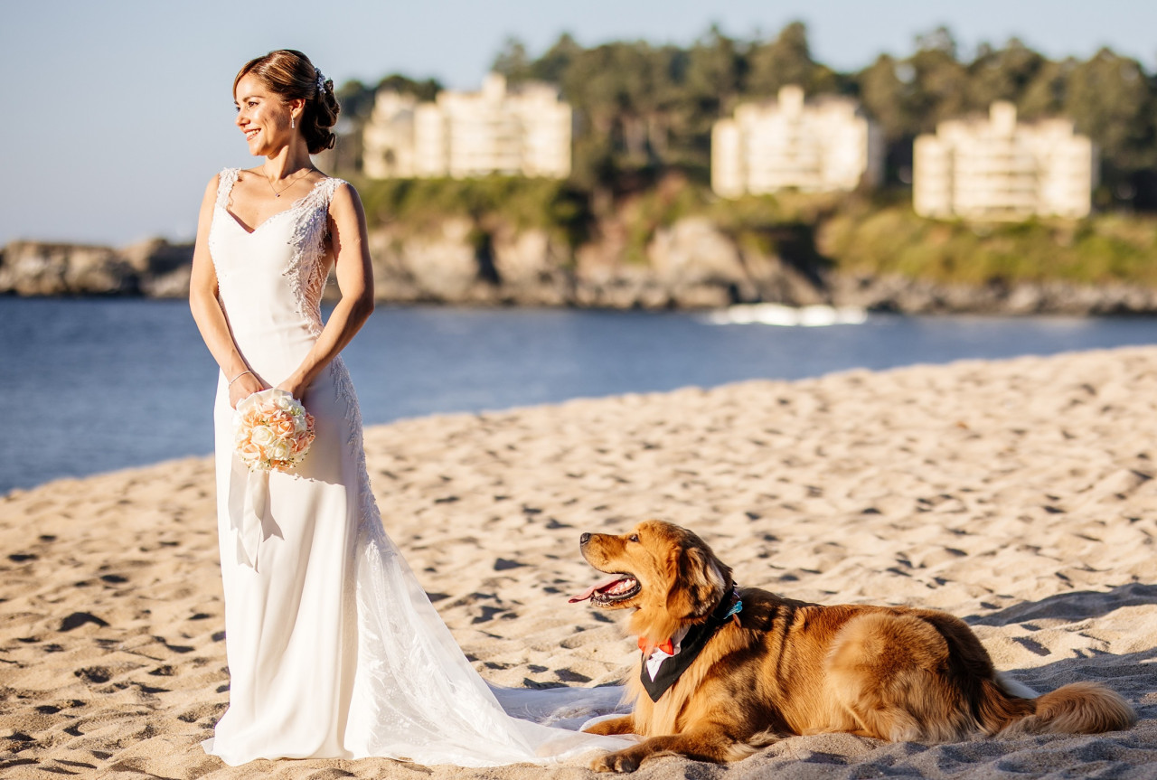 img_251209_1268962729